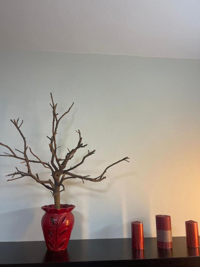 Prickly Pear Corner Apartment *