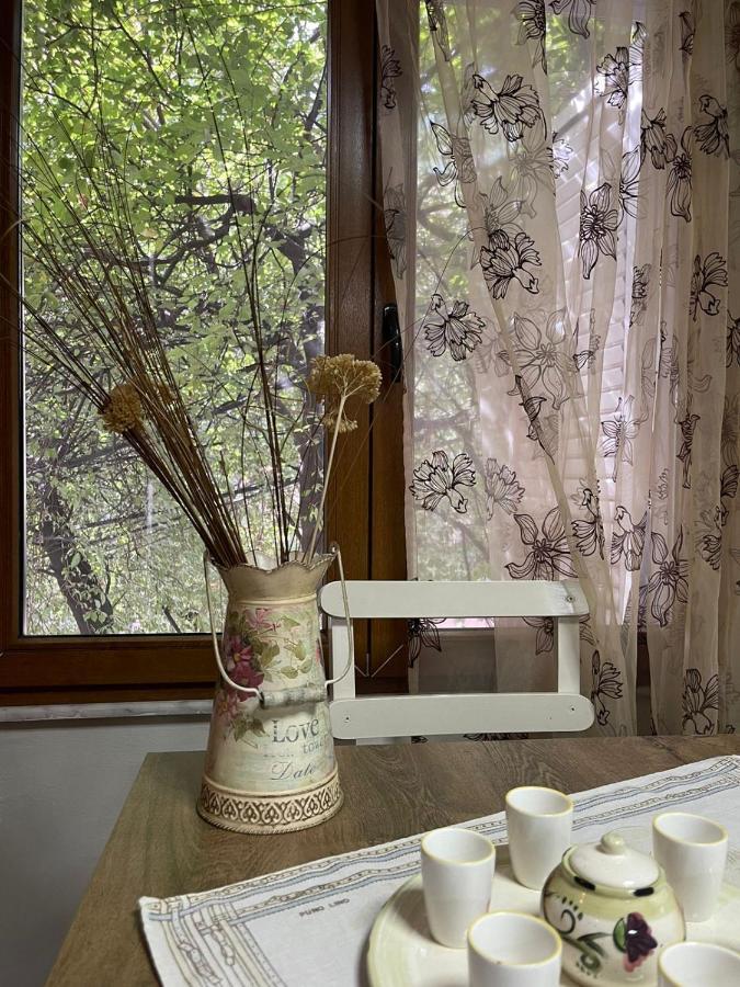 Prickly Pear Corner Apartment